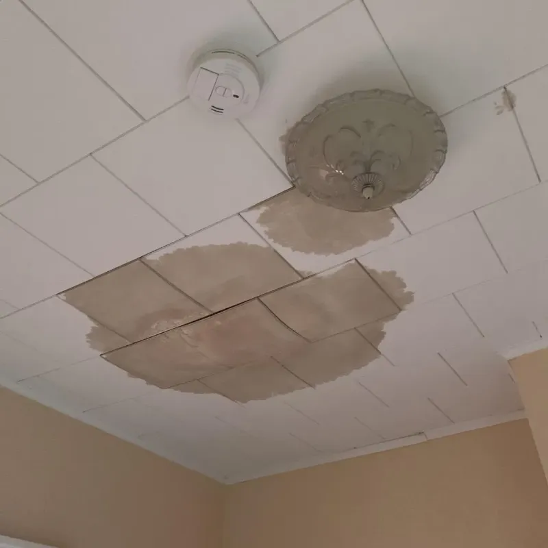Ceiling Water Damage Repair in North Pembroke, MA