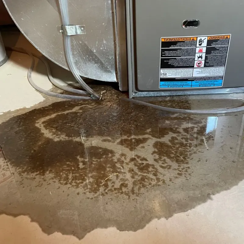 Pipe Burst and Leak Restoration in North Pembroke, MA